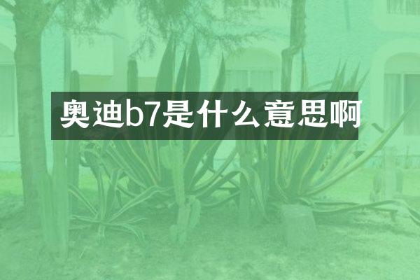 奥迪b7是什么意思啊