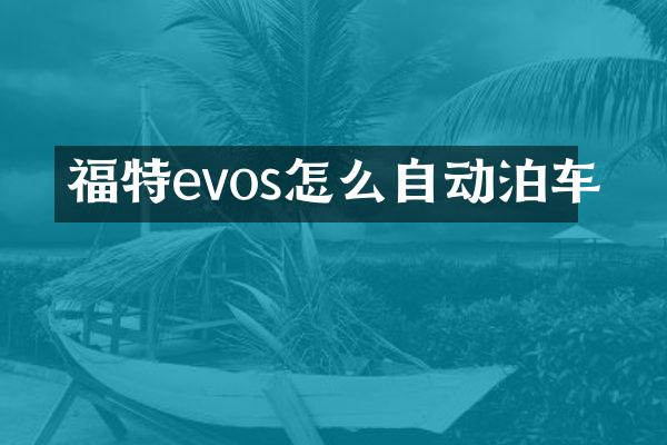 福特evos怎么自动泊车