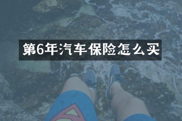第6年汽车保险怎么买