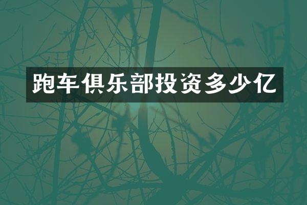 跑车俱乐部投资多少亿