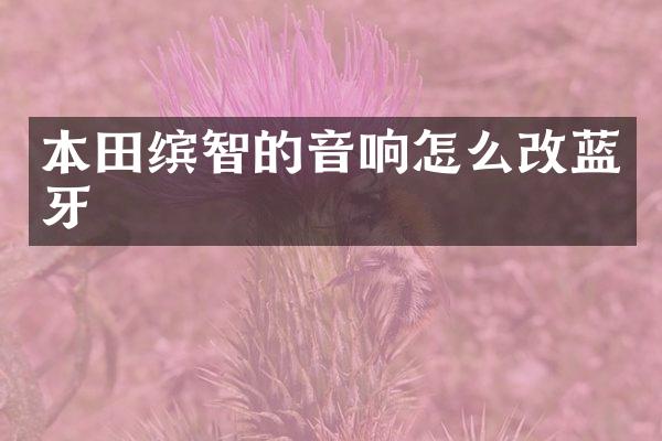 本田缤智的音响怎么改蓝牙