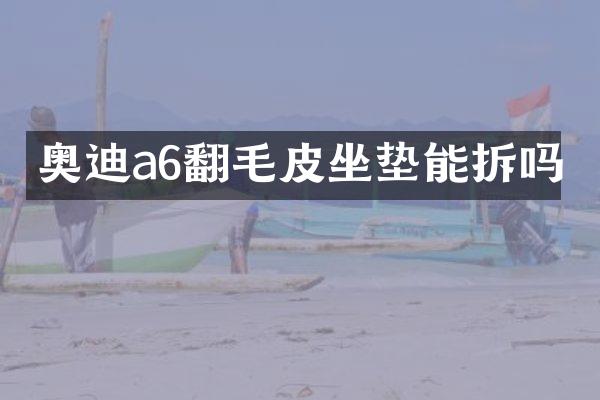 奥迪a6翻毛皮坐垫能拆吗