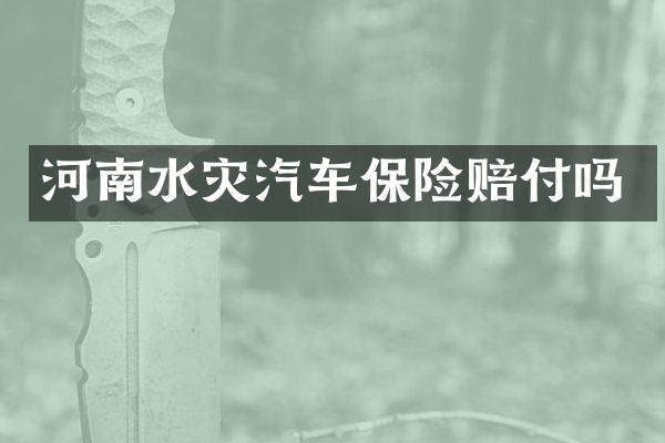 河南水灾汽车保险赔付吗