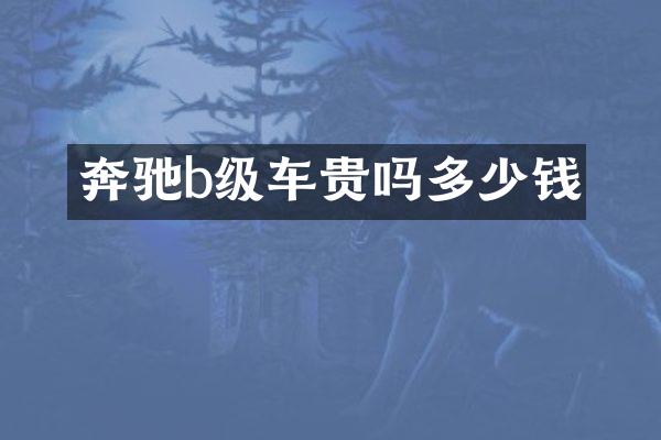 奔驰b级车贵吗多少钱