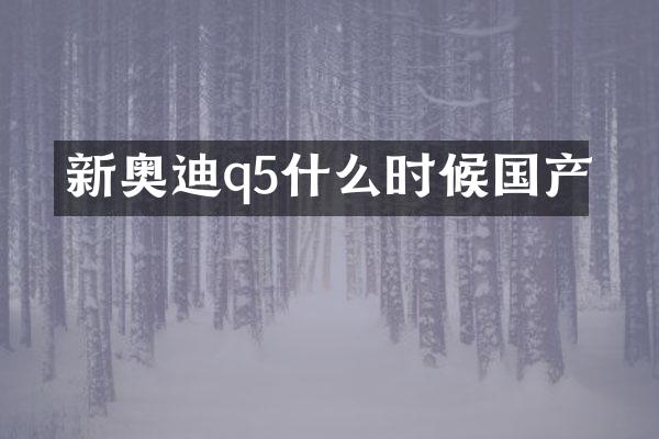 新奥迪q5什么时候国产