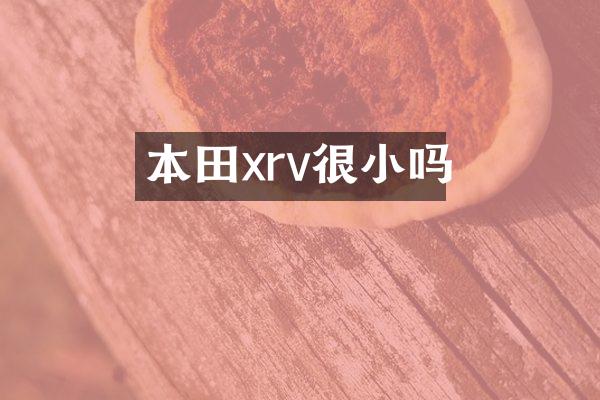 本田xrv很小吗