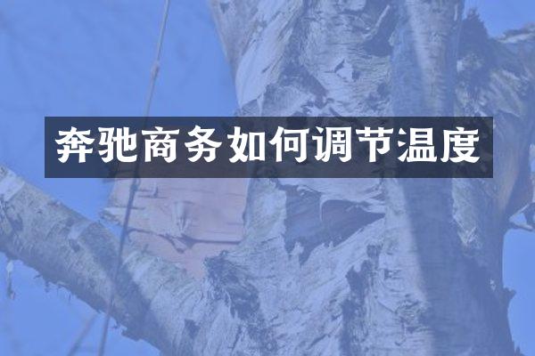 奔驰商务如何调节温度