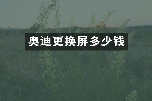 奥迪更换屏多少钱