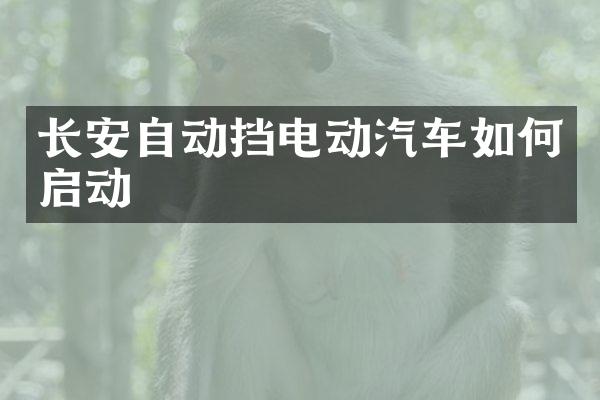 长安自动挡电动汽车如何启动