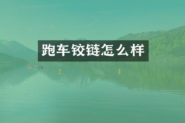 跑车铰链怎么样