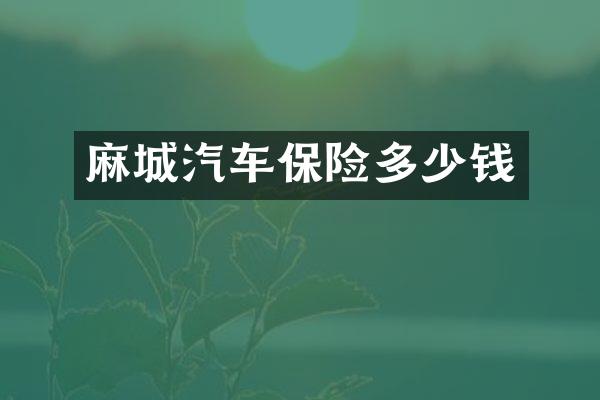 麻城汽车保险多少钱