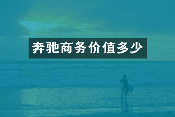 奔驰商务价值多少