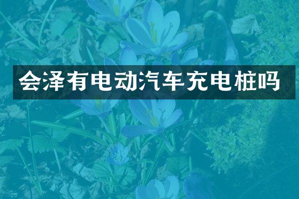 会泽有电动汽车充电桩吗