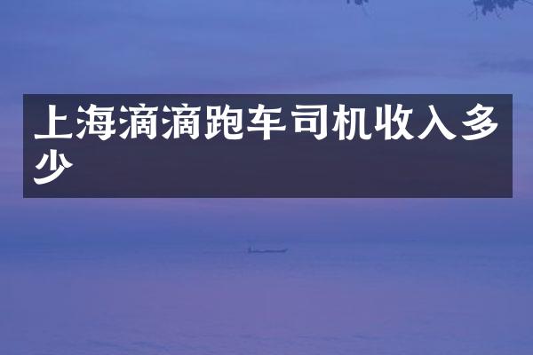 上海滴滴跑车司机收入多少