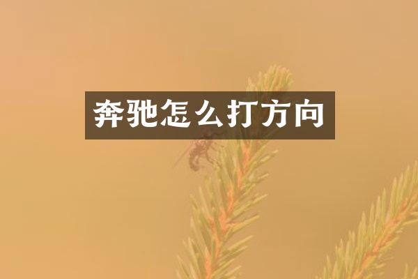 奔驰怎么打方向