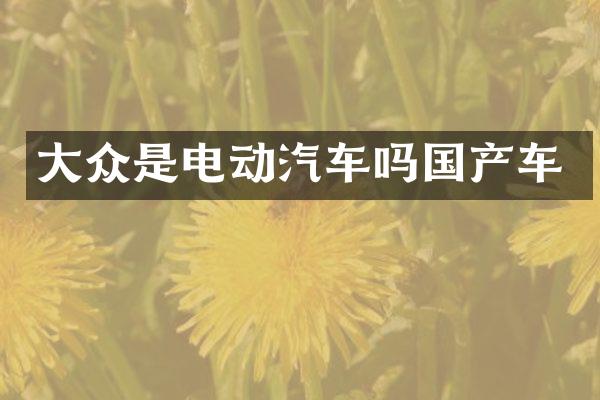 大众是电动汽车吗国产车