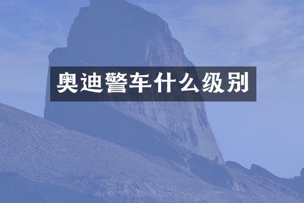 奥迪警车什么级别