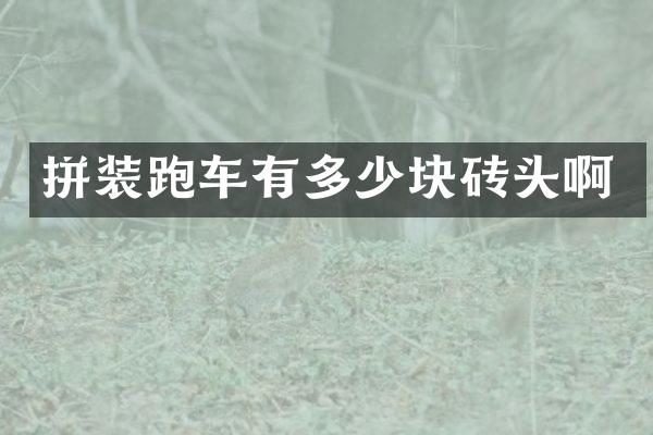 拼装跑车有多少块砖头啊