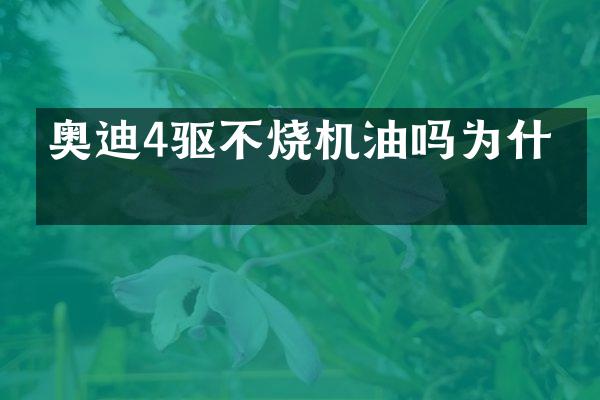 奥迪4驱不烧机油吗为什么