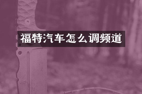 福特汽车怎么调频道