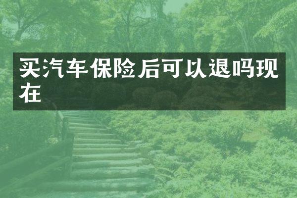 买汽车保险后可以退吗现在