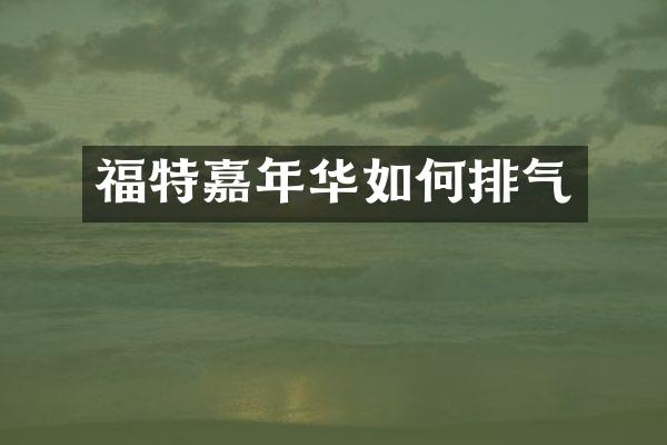 福特嘉年华如何排气