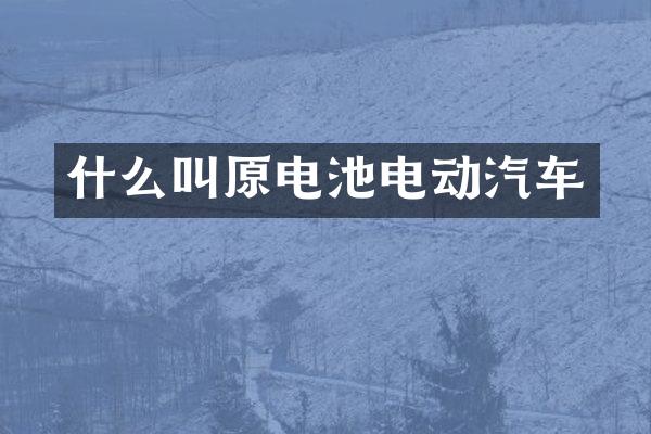 什么叫原电池电动汽车