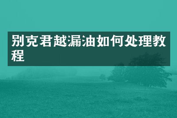别克君越漏油如何处理教程