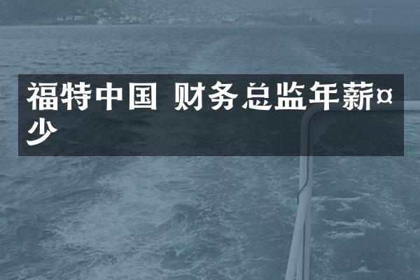 福特中国 财务总监年薪多少
