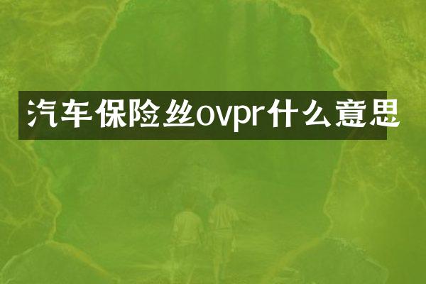 汽车保险丝ovpr什么意思