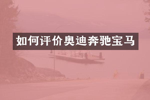 如何评价奥迪奔驰宝马