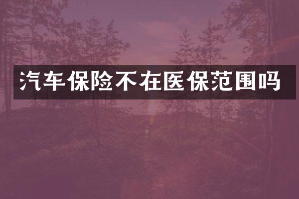 汽车保险不在医保范围吗