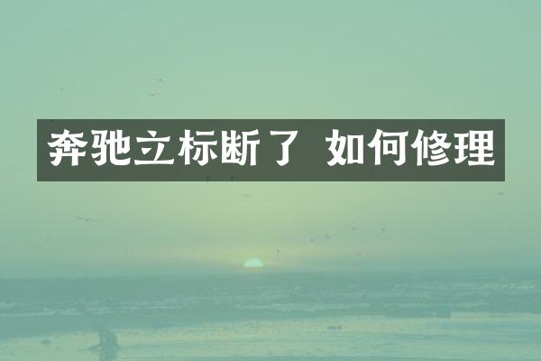 奔驰立标断了 如何修理