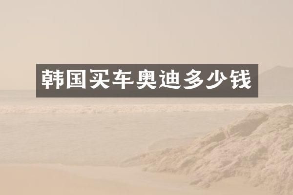 韩国买车奥迪多少钱