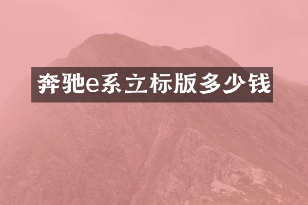 奔驰e系立标版多少钱