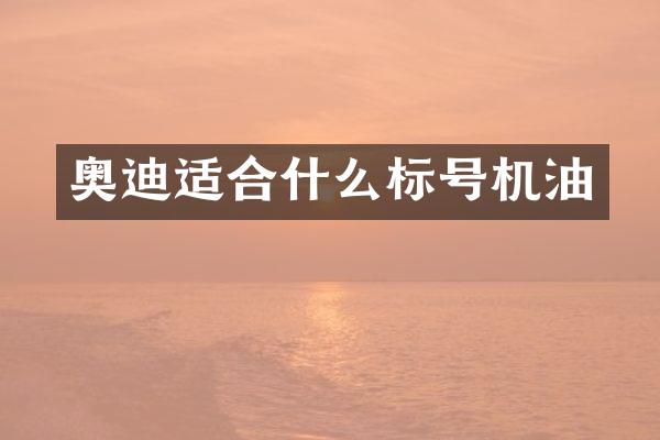 奥迪适合什么标号机油
