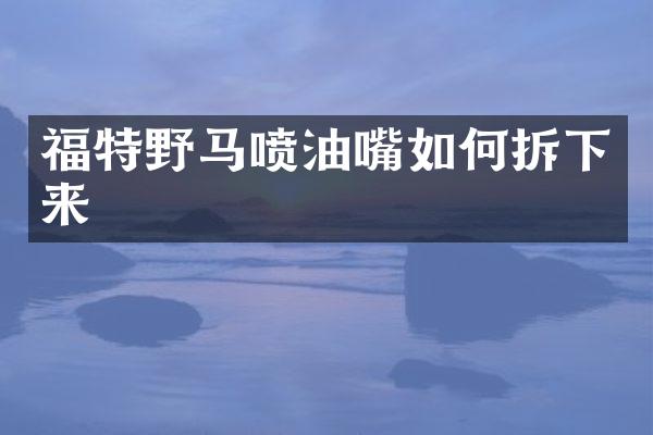 福特野马喷油嘴如何拆下来