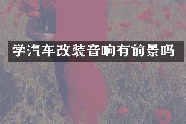 学汽车改装音响有前景吗