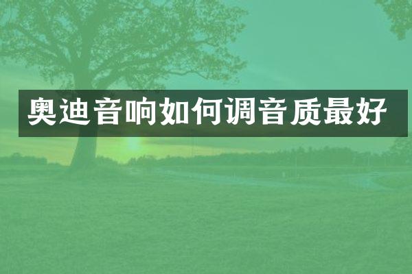 奥迪音响如何调音质最好