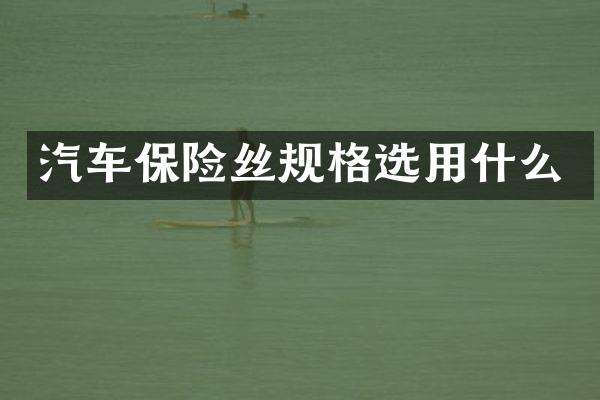 汽车保险丝规格选用什么