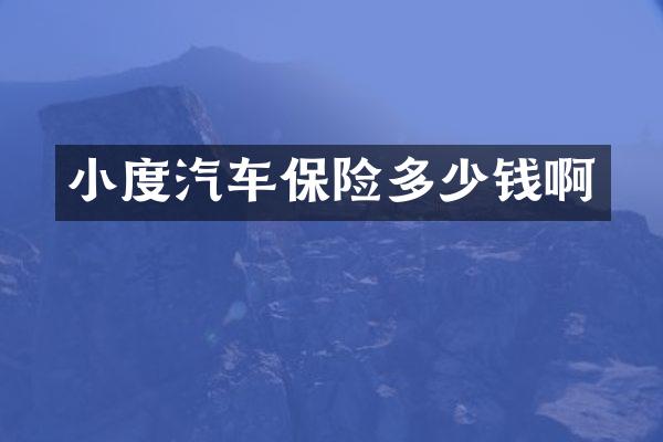 小度汽车保险多少钱啊