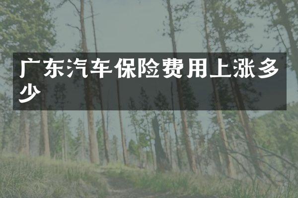 广东汽车保险费用上涨多少
