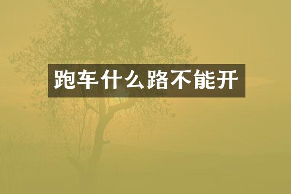 跑车什么路不能开