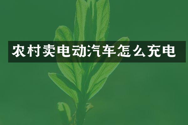 农村卖电动汽车怎么充电