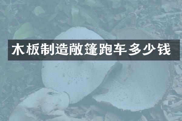 木板制造敞篷跑车多少钱
