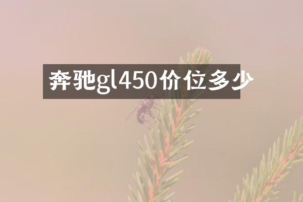 奔驰gl450价位多少