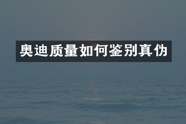 奥迪质量如何鉴别真伪