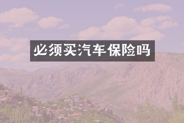 必须买汽车保险吗