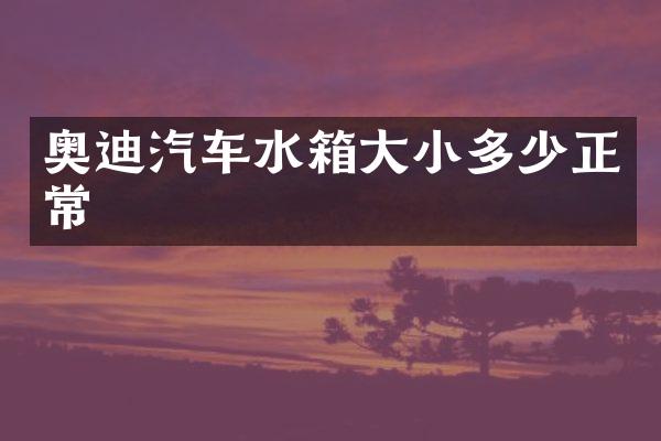 奥迪汽车水箱大小多少正常