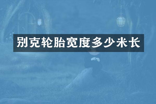 别克轮胎宽度多少米长